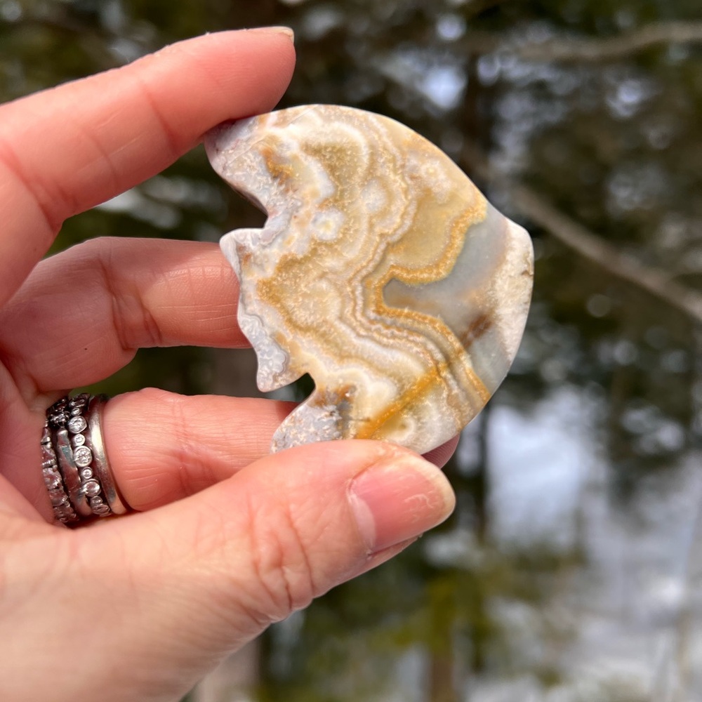 Mexican (2) agate fish carving | crystal ~ UV reactive